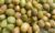 From Farm to Fork: Why Ghanaian Farmers Earn Less While Food Prices Soar