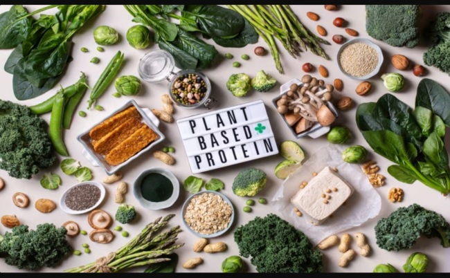 plant based protein